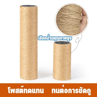 เสาลับเล็บแมว อะไหล่ 30CM 40CM 50CM ของคอนโดแมว ใช้น๊อต M8 เสาลับเล็บแมว ที่รับเล็บแมว