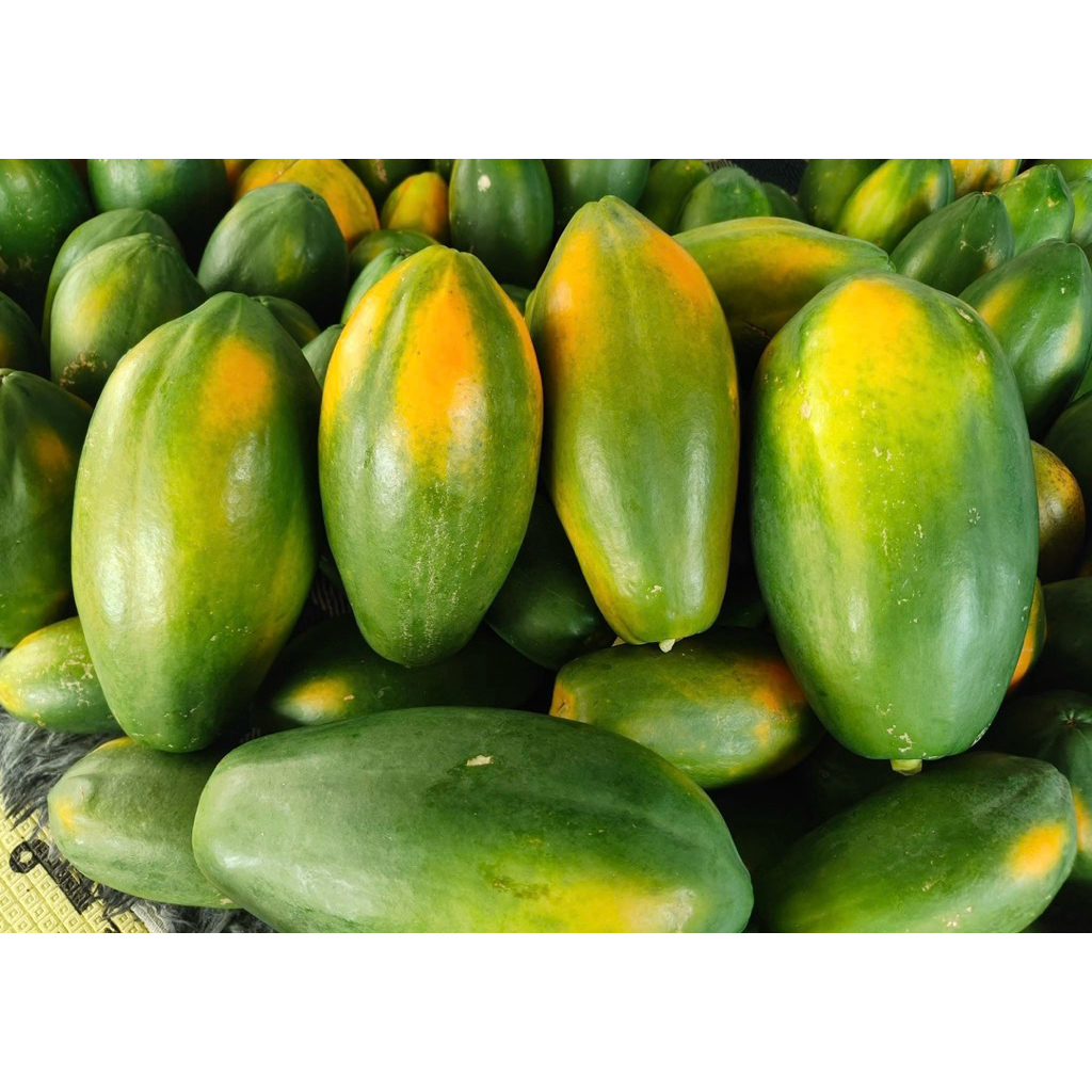 มะละกอเรดเลดี้ปลอดสาร ส่งจากสวนพัทลุง สุกธรรมชาติไม่บ่มแก๊ส นน.5-6ขีด