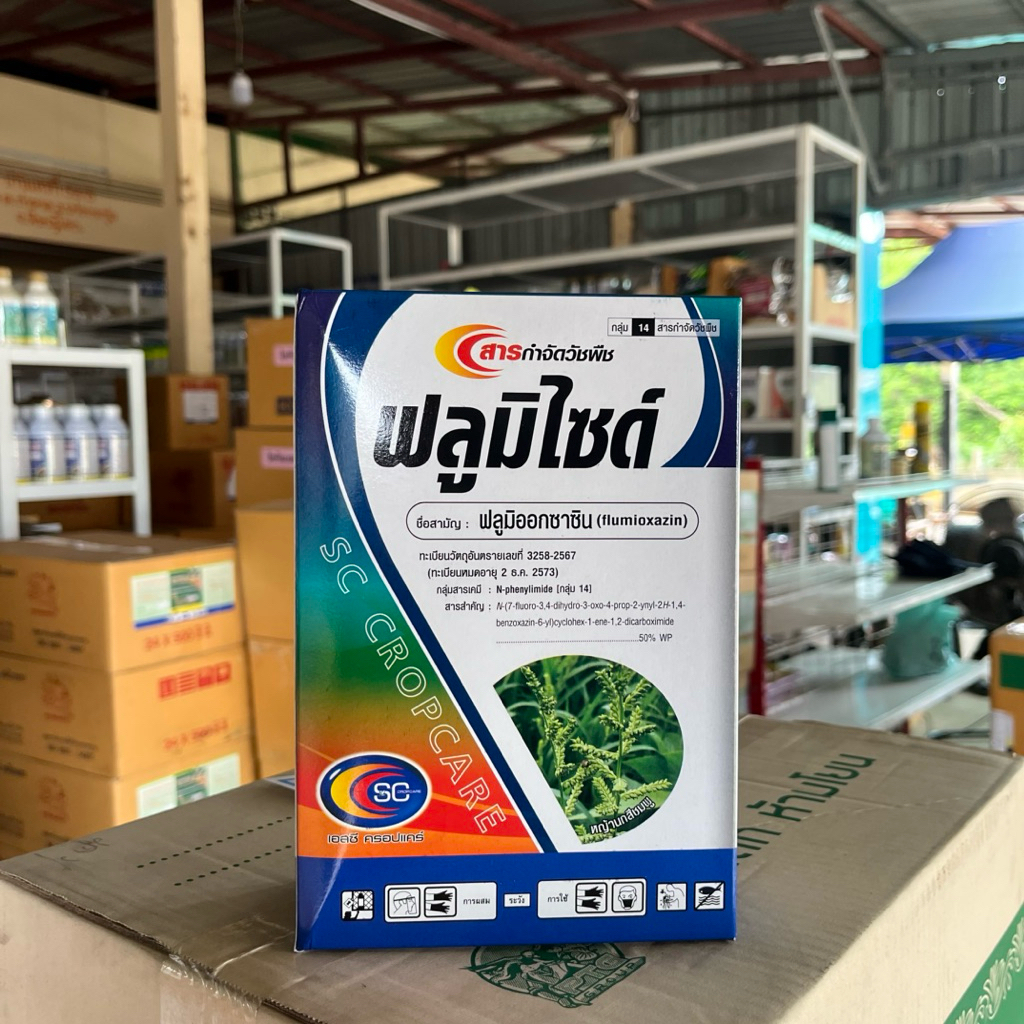👩🏻‍🌾 ฟลูมิไซด์ 50% WP คุมวัชพืชในไร่อ้อย และมันสำปะหลัง ในสวน ขนาด 500 กรัม ใช้ได้ 15-20 ไร่ คุมนาน 60-90 วัน