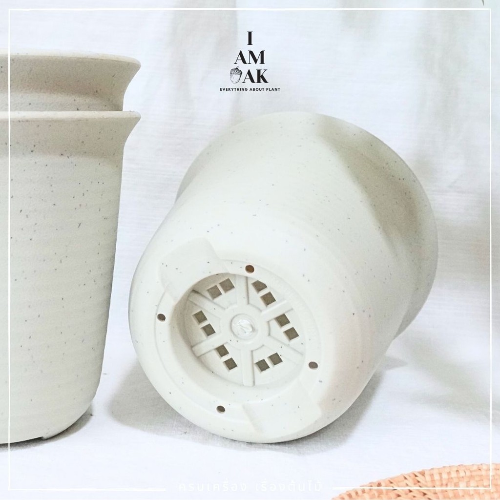 กระถางถ้วยจีนสูง สีขาวนวล DRB ใบใหญ่