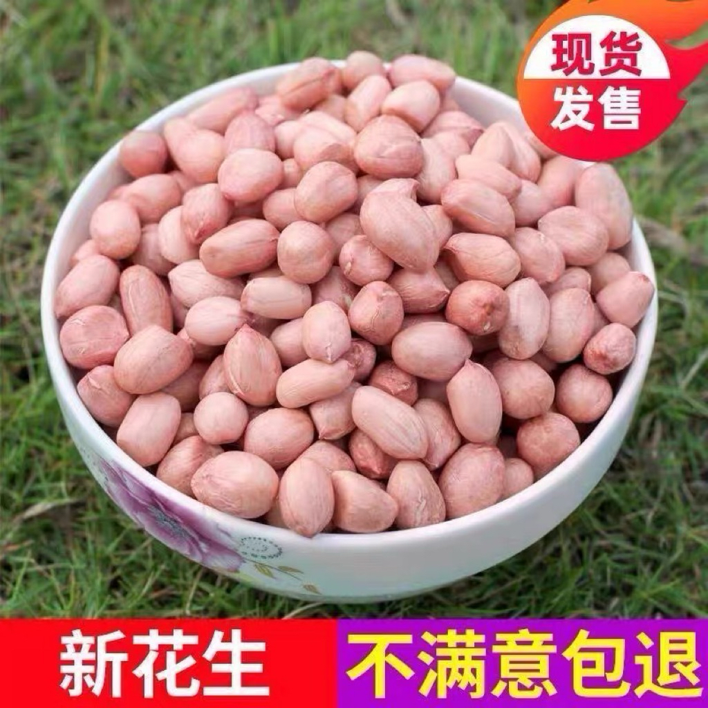 ถั่วลิสง ดิบ ขนาด 500g พร้อมส่ง  ( 花生 500g)ถั่ว ธัญพืช ทานได้เลย หรืออบก่อนทาน กับแกล้ง