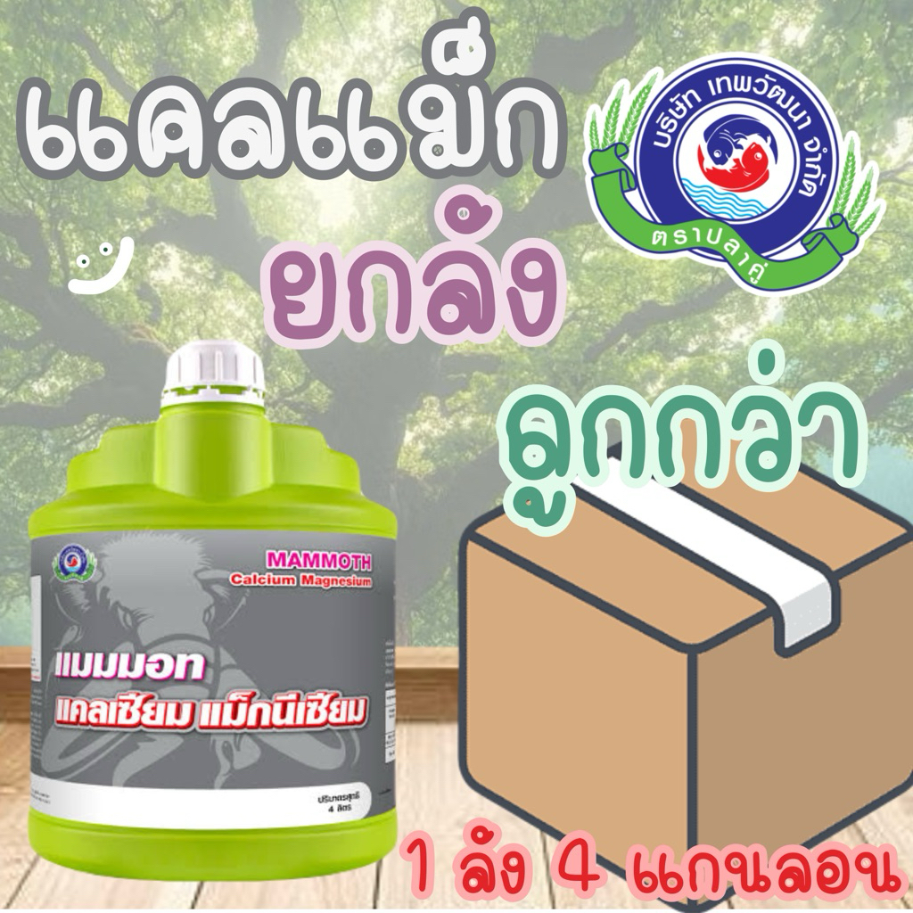 ยกลัง 4 แกนลอน แมมมอท แคลเซียม แม็กนีเซียม ขนาด 4 ลิตร │ เทพวัฒนา ตราปลาคู่ │ ธาตุอาหารเสริมพืช ฮอร์โมนพืช ใบเขียว ใบหนา