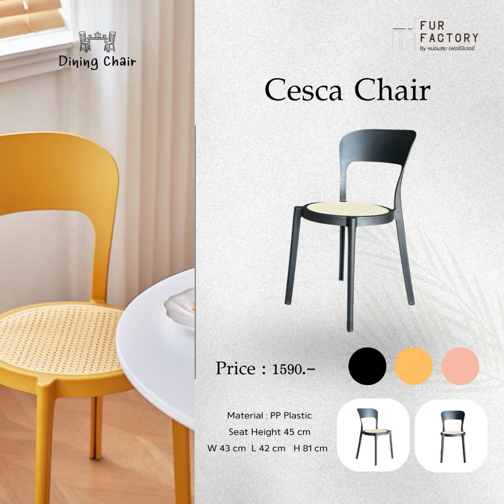 เก้าอี้พลาสติก PP Plastic รุ่น Cesca Chair