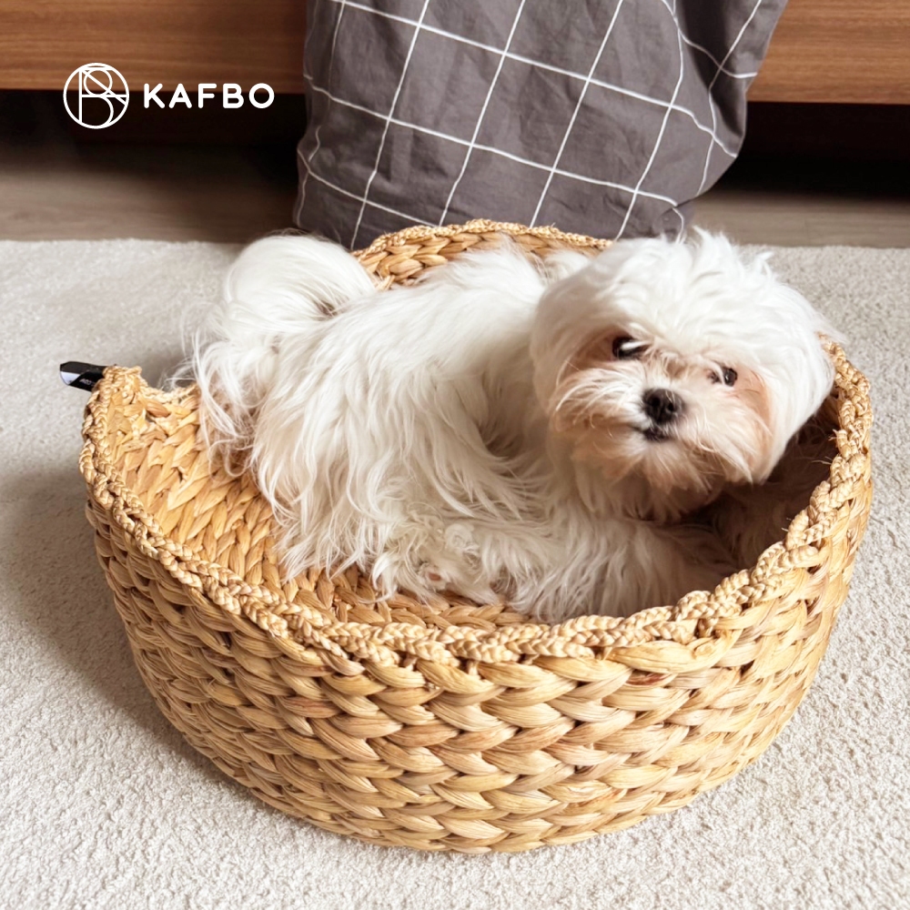 KAFBO Cat Nest Basket - ตะกร้าแมว ตะกร้าสานสำหรับแมว ที่นอนแมว ที่ลับเล็บแมว FREE!! Catnip! - รูปที่ 7