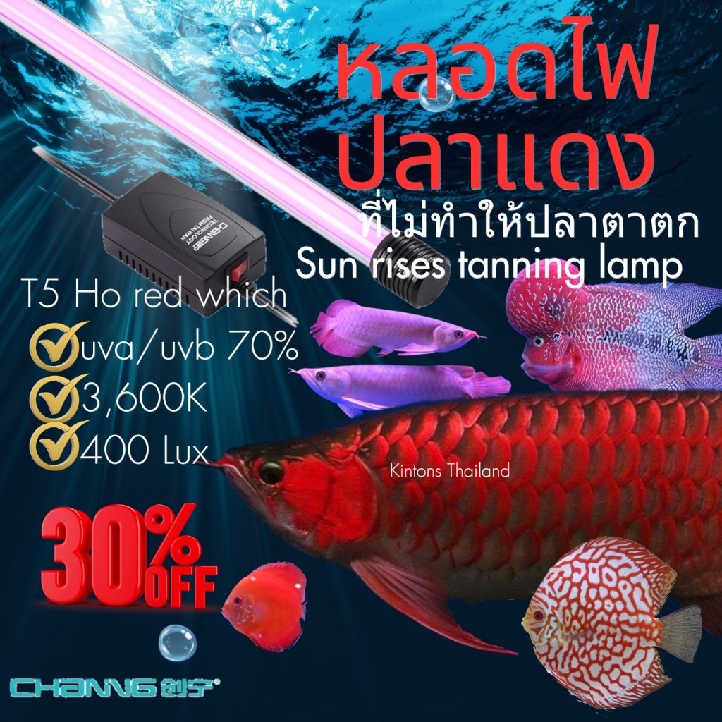 T5 Ho Channing หลอดไฟแทนนิ่ง หลอดไฟสำหรับปลาหัวทอง