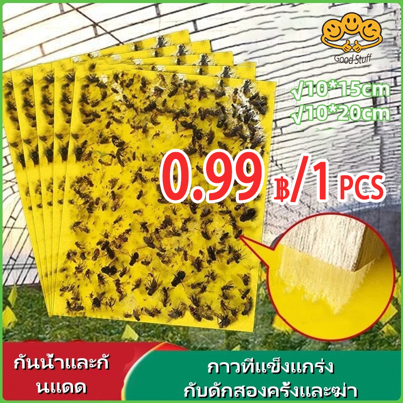 100 แผ่น แผ่นกาวดักแมลง (มีกาวในตัว) มีให้เลือกหลายขนาด แพ็คละ  กับดักแมลงกินผัก ดักแมลงศัตรูพืช กาวดักแมลงวันทอง