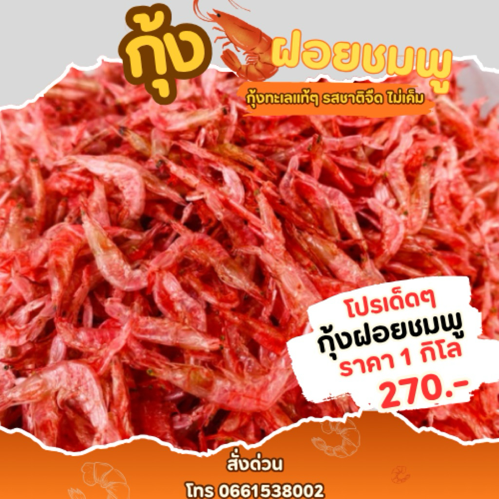 กุ้งฝอยชมพู ขนาด 1 กิโล
