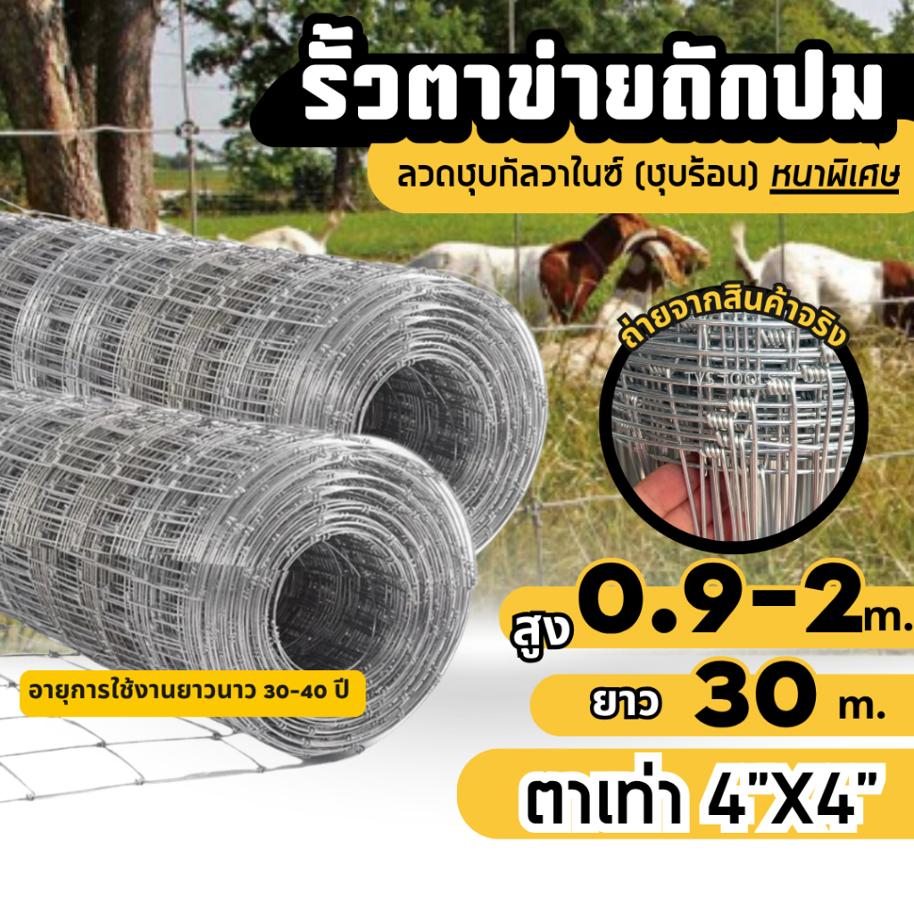 รั้วตาข่ายถักปม ช่องตาเท่า 4x4 สูง 0.9-2 เมตร ยาว 30 เมตร  ลวด 2.0/1.8mm ลวดเหล็กล้อมรั้ว ล้อมสวน