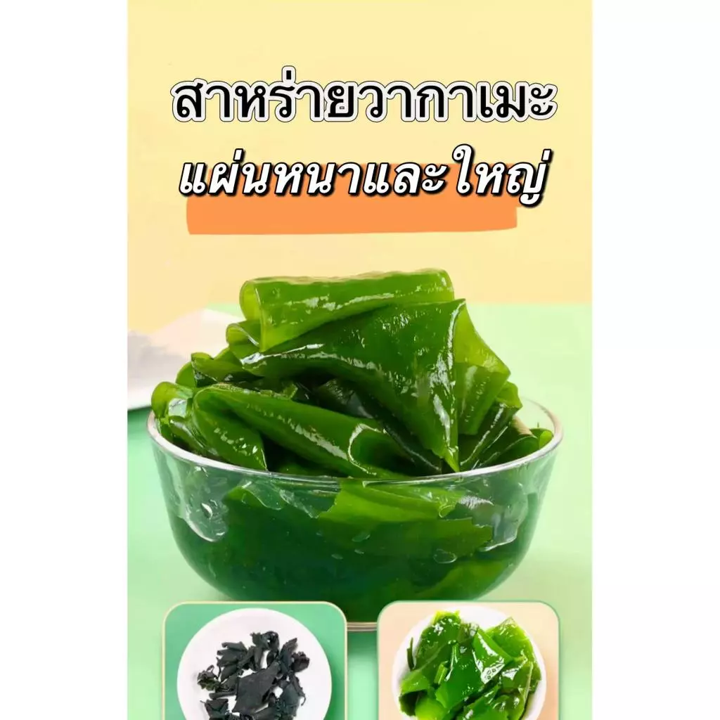 ส่งไว สาหร่ายวากาเมะ เกรดA+  สาหร่ายวากาเมะอบแห้ง  Dried Wakame Seaweed 裙带菜 건미역 thumbnail 7