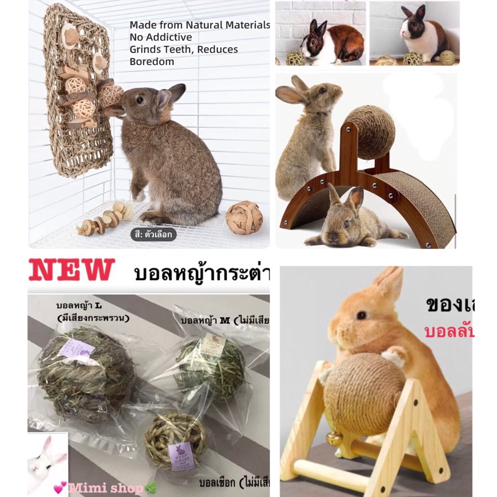 ของเล่นบอลหมุนมีขาตั้ง /บอลหญ้า บอลเชือก ของเล่นกระต่าย🐰💕ช่วยลับฟัน ป้องกันปัญหาฟันยาว🐰