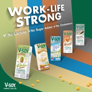 V-soy วีซอย นมถั่วเหลือง เพื่อสุขภาพ รวมทุกรสชาติ (ยกลัง 36 กล่อง)