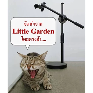 Little Garden​ 500​ ขนาดใหญ่
