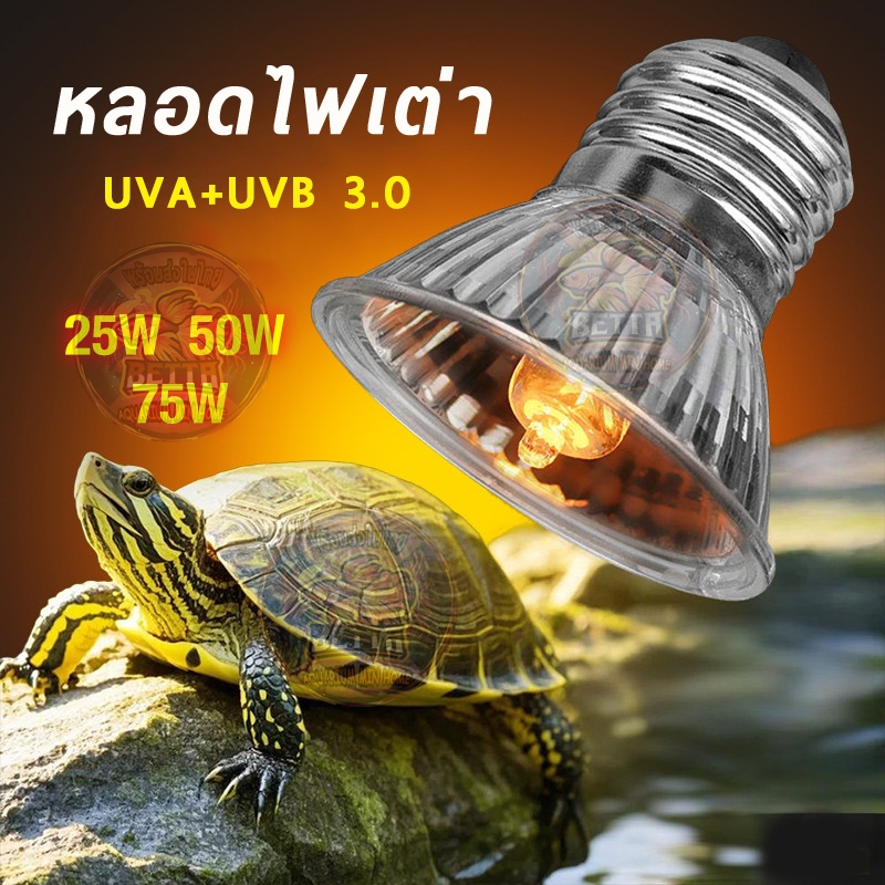 🇹🇭💡💡💡หลอดไฟให้ความร้อนและรังสี UVA + UVB 3.0 ไฟนก ไฟเต่า ไฟกิ้งก่า ไฟสัตว์เลื้อยคลาน ใช้คู่กับขั้วหลอดไฟเซรามิคE27