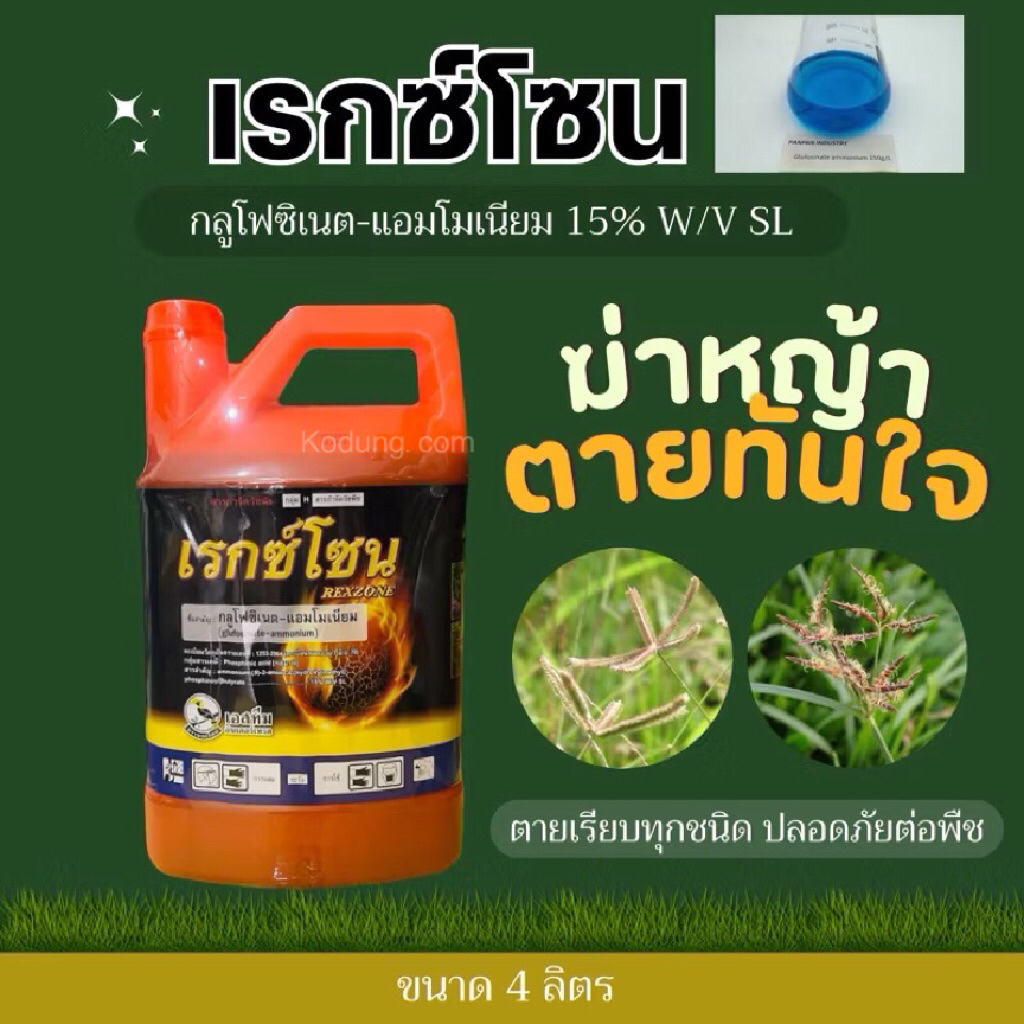 เรกซ์โซน (กลูโฟซิเนต-แอมโมเนียม 15% SL) ออกฤทธิ์ทั้งสัมผัสและแทรกซึม 4 ลิตร