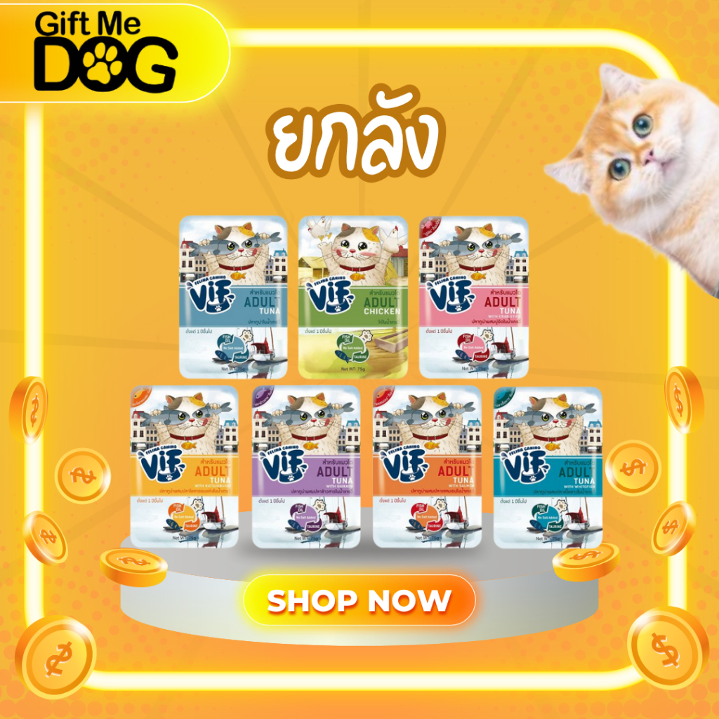 Vif Pouch วิฟ อาหารเปียกสำหรับน้องแมว ยกลัง48ซอง