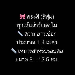 BN-490 สายจูงสัตว์เลี้ยงขนาดเล็ก สำหรับกระต่าย กระรอก หนูแฮมสเตอร์ แกสบี้ 🐰🐹🐭 พาเพื่อนตัวน้อยออกไปเดินเล่นกลางแจ้งอย่