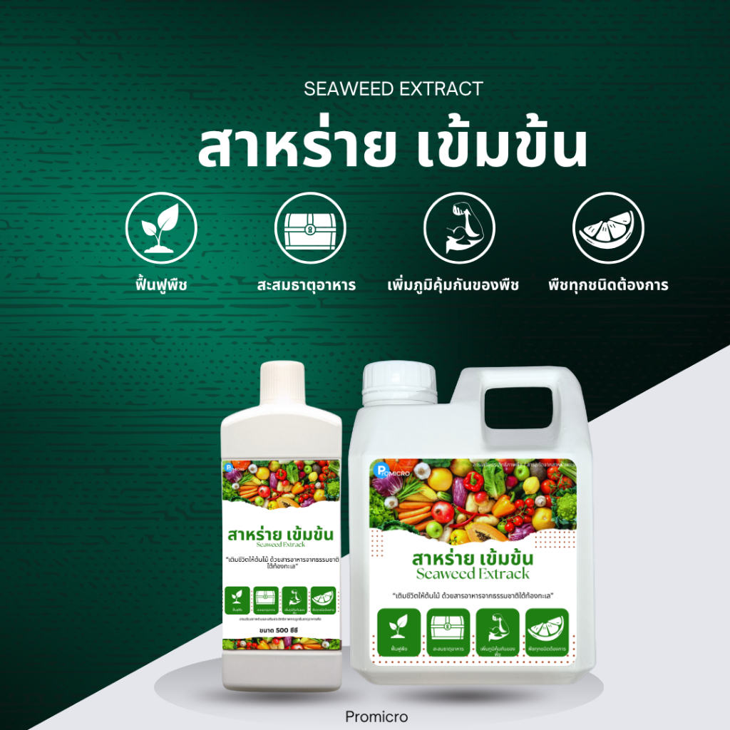 สาหร่ายอะมิโน สูตรเข้มข้น ฮอร์โมนพืช เร่งใบเขียว ฟื้นต้นโทรมไว  จบปัญหาพืชไม่โต ใช้ได้กับพืชทุกชนิด