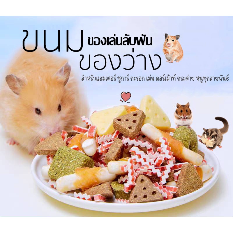 อาหารแฮมเตอร์ ขนม ชูการ์ กะรอก ดอร์เม้าท์ ใจเเอ้นท์ โรโบ เม่น สัตว์ฟันเเทะอื่นๆๆ