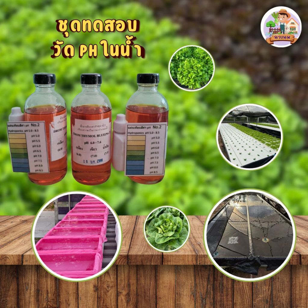 น้ำยาเทียบค่าพีเอช Ph (ค่าน้ำ) เทียบความเป็น กรด-ด่าง ของน้ำ ขนาด 250 cc.