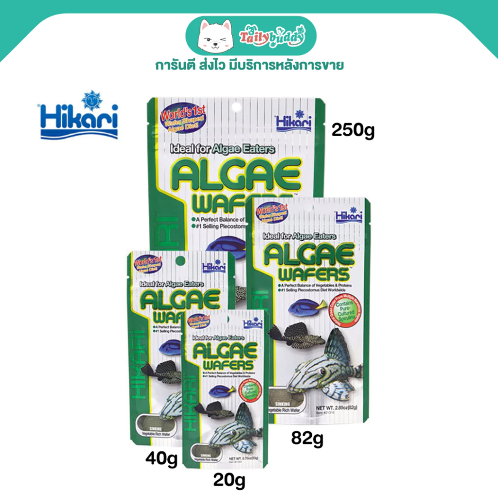 Hikari Algae Wafers อาหารปลาฮิคาริ สำหรับปลากินพืช กินตะไคร่ แบบเม็ดจม สำหรับปลาพื้นตู้ ปลาแพะ ปลาหมู ปลาซัคเกอร์ เม็ดจม