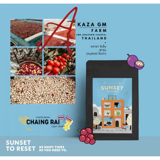 Coffee Bean Thailand￼ (Light Roast) เมล็ดกาแฟไทย คั่วอ่อน Sunset Coffee Roasters