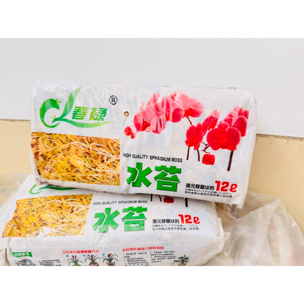 สแฟกนั่มมอส 12L (มีของพร้อมส่ง) 1 ชิ้น Sphagnum Moss