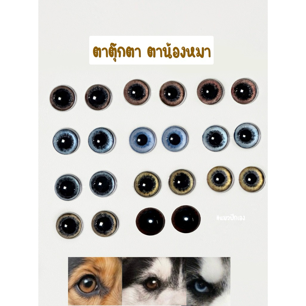 ตาหมา ตาตุ๊กตา แบบสำเร็จไม่ต้องทำเอง สำหรับงานneedle felting