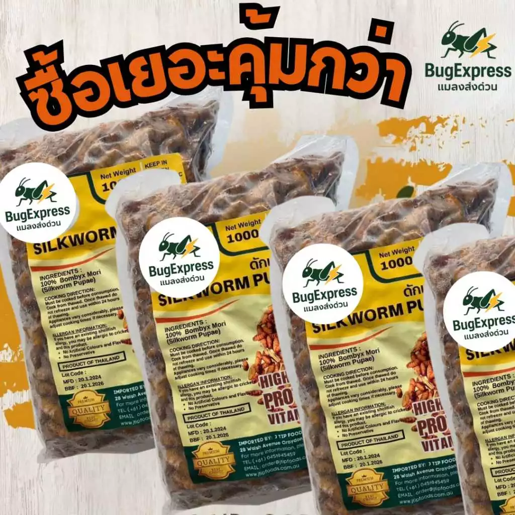 ดักแด้แช่แข็ง 1000 กรัม (หนอนไหม) ยี่ห้อแมลงส่งด่วน