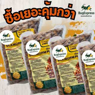 ดักแด้แช่แข็ง 1000 กรัม (หนอนไหม) ยี่ห้อแมลงส่งด่วน