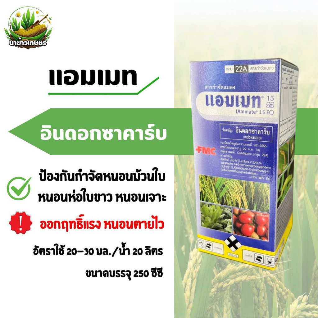 แอมเมท 250 ซีซี (อินดอกซาคาร์บ) ป้องกันกำจัดหนอนม้วนใบ หนอนหอใบขาว หนอนเจาะ