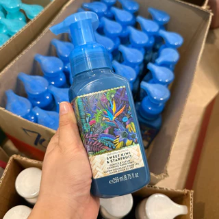 Bath & Body Works โฟมล้างมือหอมยอดฮิต Gentle & Clean Foaming Hand Soap 259ml.
