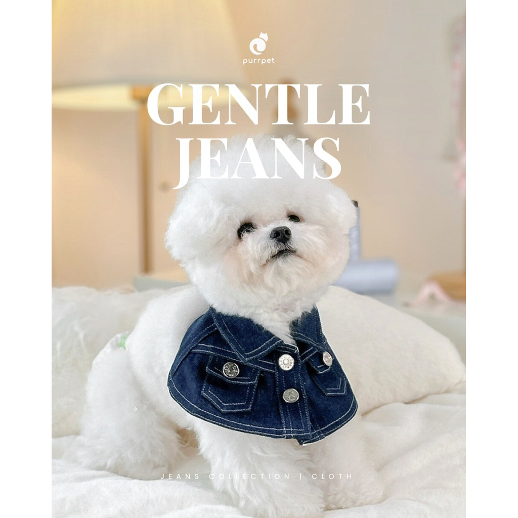 ชุดยีนส์เท่ๆ Gentle Jeans Purrpet