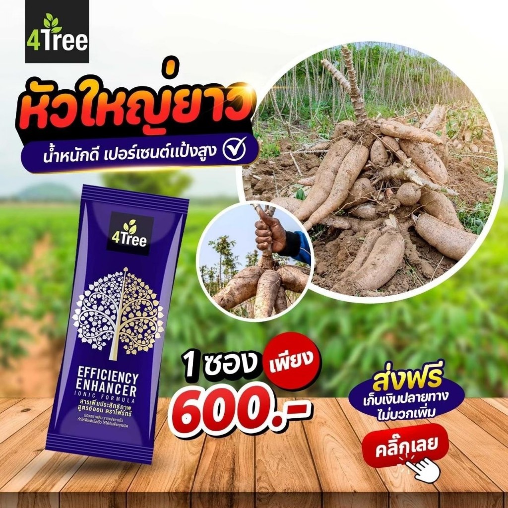 [ส่งไว 1ซอง] 4TREE สารเพิ่มประสิทธิภาพพืช ของแท้ 100 %