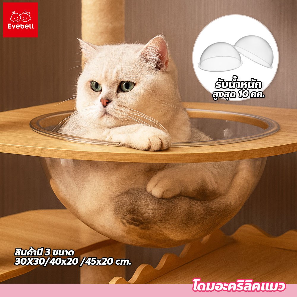 evebell หลุมอวกาศแมว โดมอะคริลิคแมว ที่นอนสัตว์ งานมินิมอล มี2ขนาด แข็งแรงทนทาน