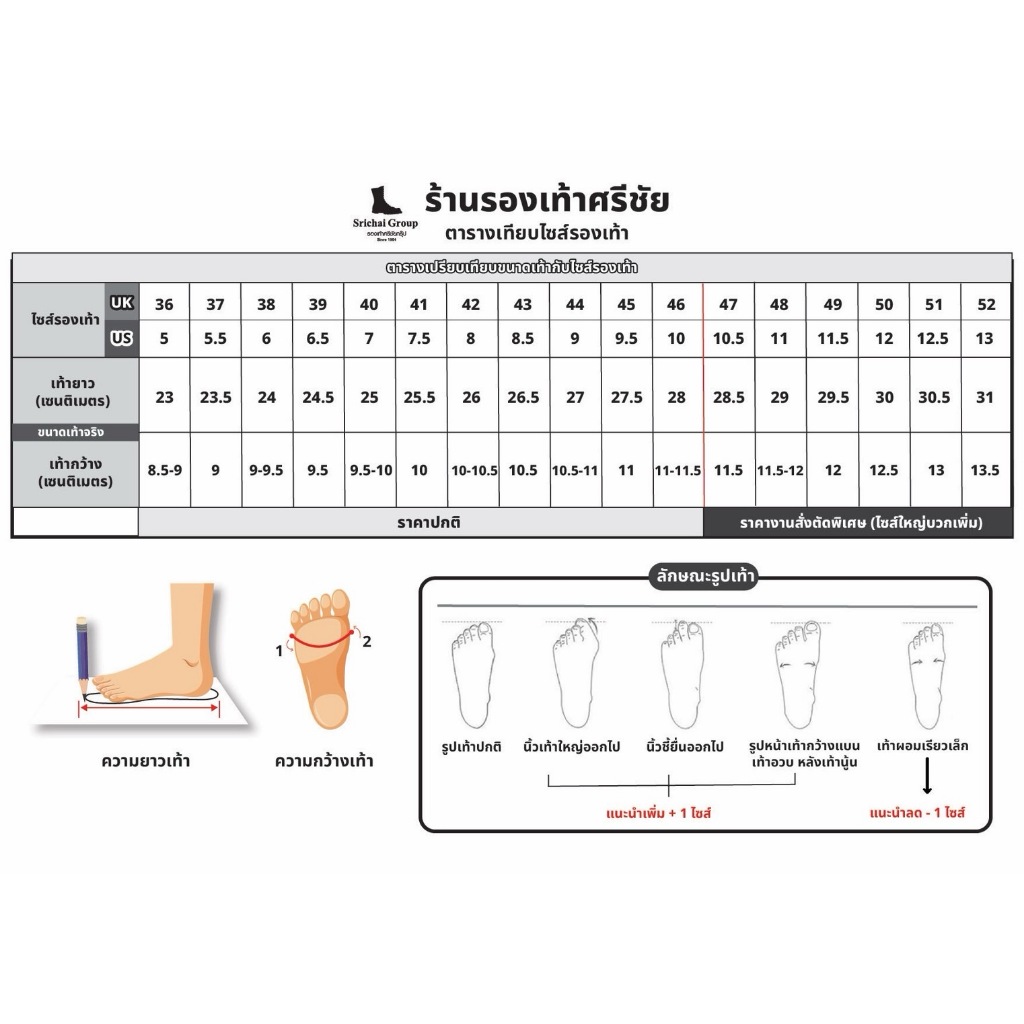 รูปภาพ 8