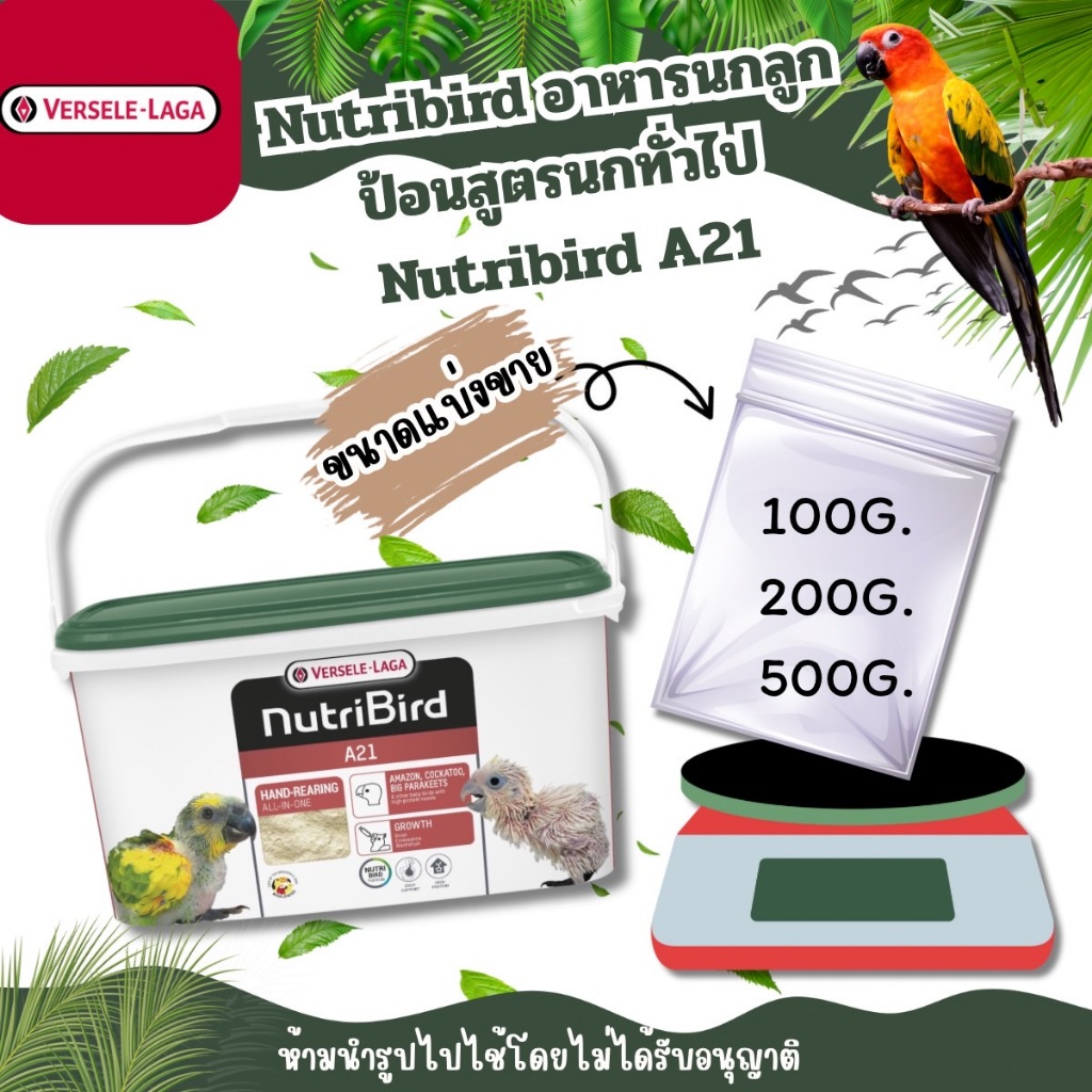 Nutribird A21 (ขนาดแบ่งขาย)อาหารนกลูกป้อนสูตรนกทั่วไป Nutribird A21 [100G./500G.]