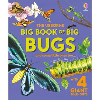 DKTODAY หนังสือ USBORNE BIG BOOK OF BIG BUGS (AGE 4+)