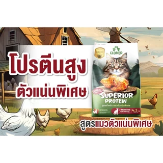 Clover อาหารแมว โคลเวอร์ ultra holistic & grain-free ตัวแน่นถนอมไต บำรุงขน ขนาด 4.2 และ 5 กิโลกรัม