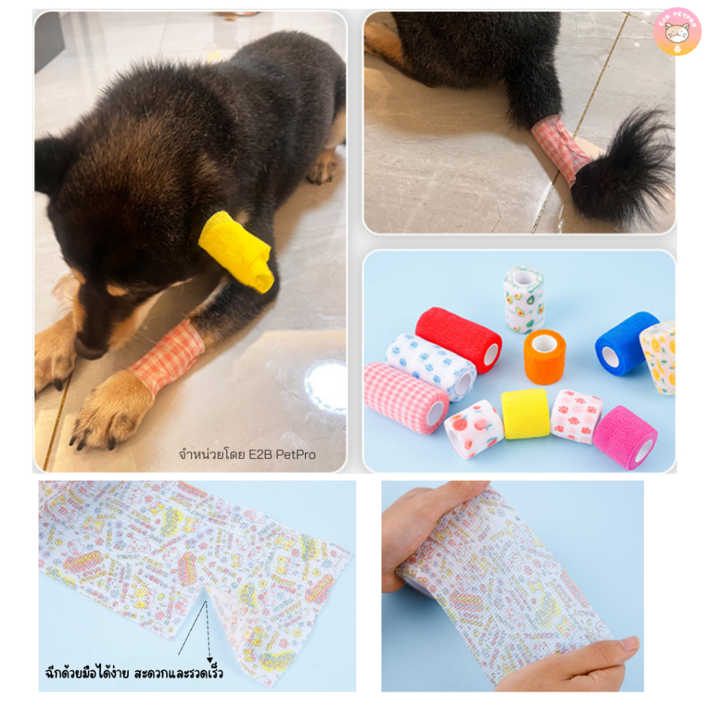 รูปภาพ 7