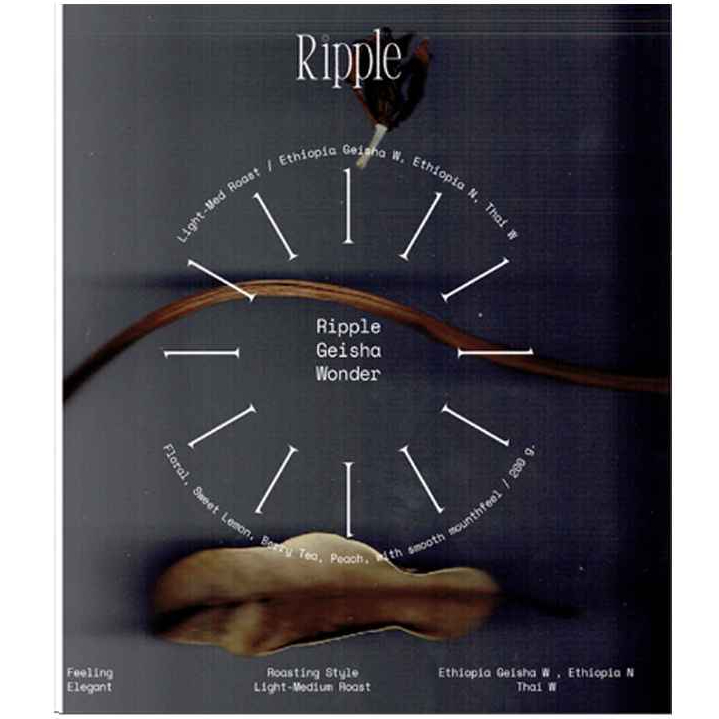 Ripple เมล็ดกาแฟคั่วกลาง “Ripple Geisha Wonder”