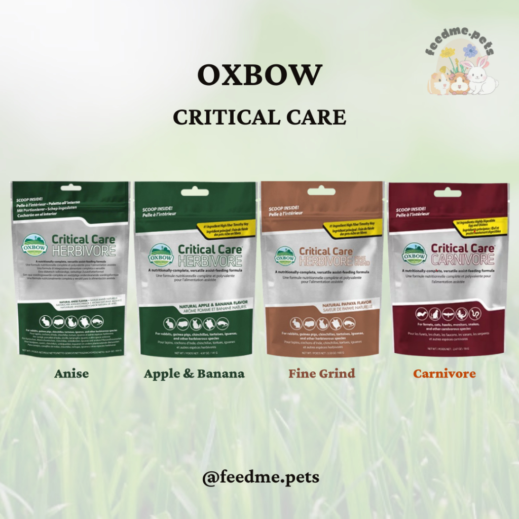 Oxbow Critical Care - Herbivore คริติคอล แคร์ สำหรับสัตว์กินพืช
