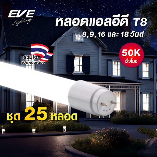 EVE (ยกลัง 25 หลอด) หลอดแอลอีดี LED T8 Project รับประกัน 3 ปี ยาว 60cm. ขนาด  9 วัตต์ 50,000 ชั่วโมง
