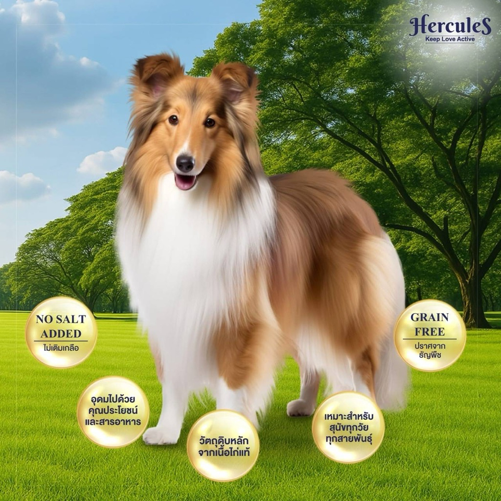 Hercules Healthy Jerky Stick Dog Snacks 🐶❤️เฮอร์คิวลิส ขนมแท่งสติ๊กเพื่อสุขภาพทีดีสำหรับสุนัขบรรจุ 70g - รูปที่ 2