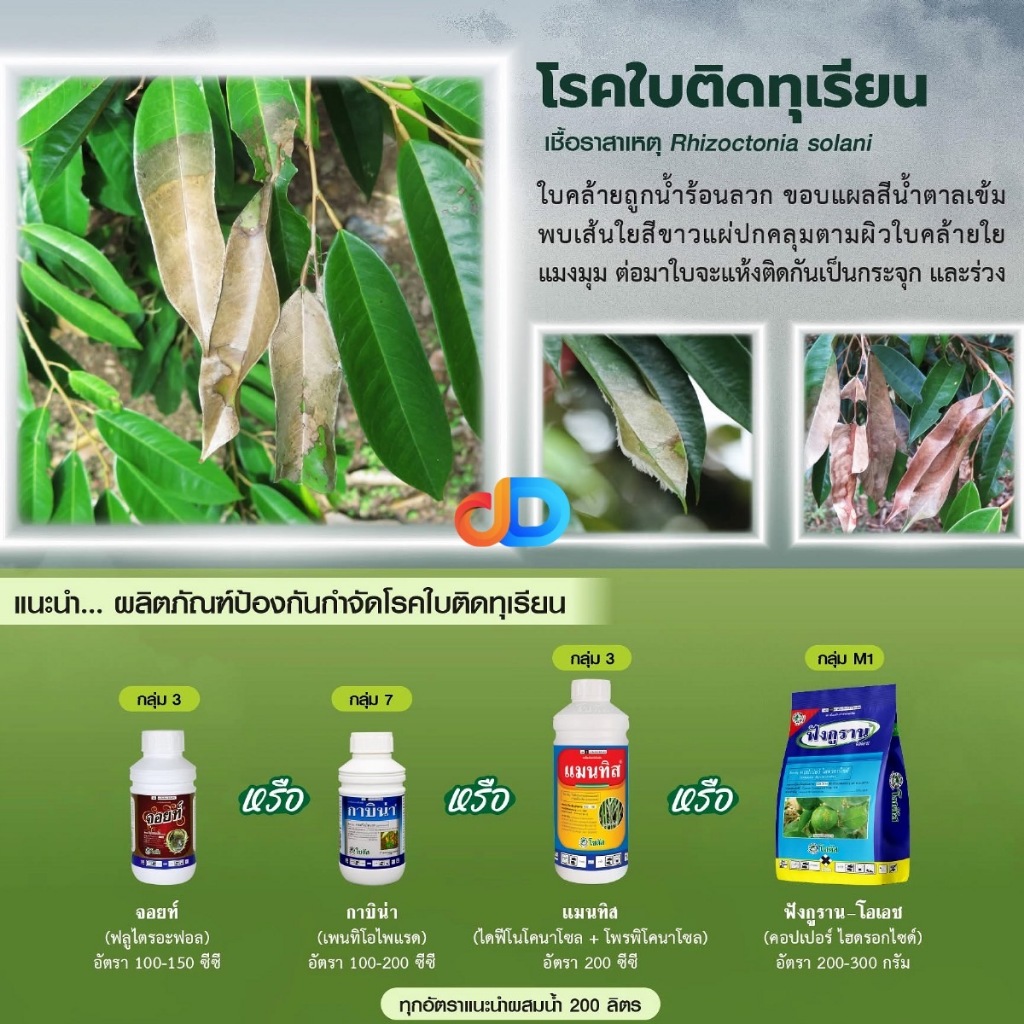 ผลิตภัณฑ์ป้องกันกำจัดโรคใบติดในทุเรียน  จอยท์ 500 ซีซี ,กาบิน่า 100 ซีซี ,แมนทิส, ฟังกูราน