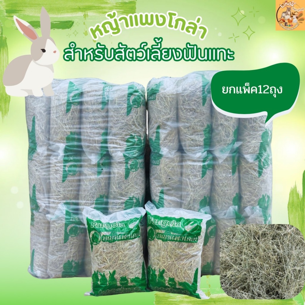 หญ้าแพงโกล่า ขายส่งแพ็ค12ถุง