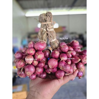 หอมแดง ศรีสะเกษ [500 กรัม] (ครึ่ง กก.) หอมมัดคละไซส์