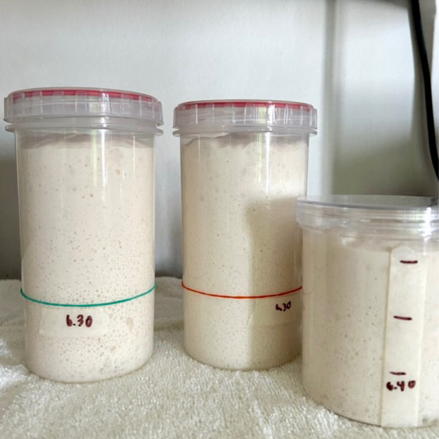 รูปภาพ 8