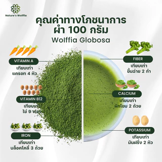 ผงไข่ผำอบแห้ง100% เกรดคุณภาพ โปรตีนสูง38% สุดยอดSuperfood อาหารเพื่อสุขภาพ ผักผำ ไข่ผำ