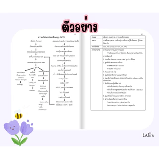 หนังสือสรุปโรคและการพยาบาล เล่ม 1 (Patho & Nursing care)