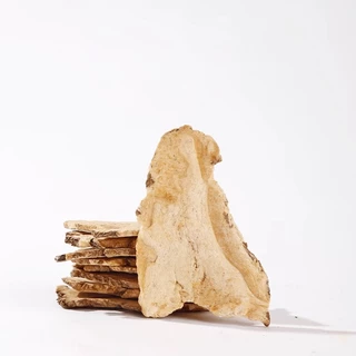 ตังกุย （50กรัม） แผ่นตังกุย 当归片 เนื้อขาว กลิ่นหอม รสชาติเข้มข้น Danggui herbs